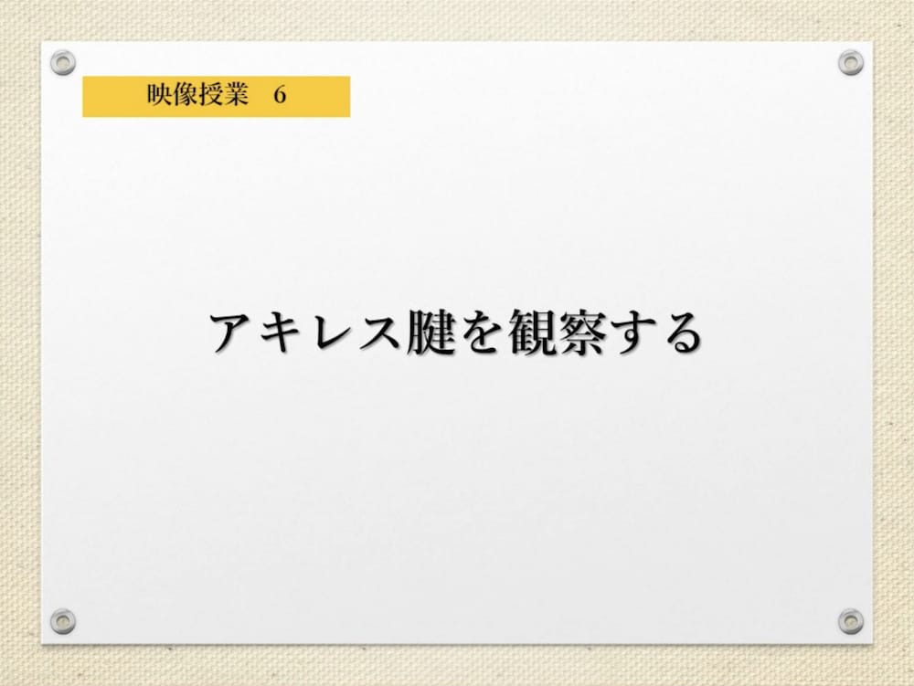 アキレス腱の観察方法